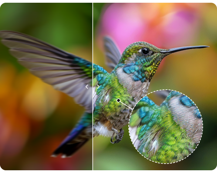 Fotos automatisch verbessern Windows 10